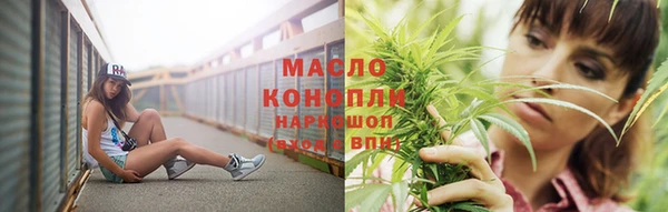 мдпв Каменка