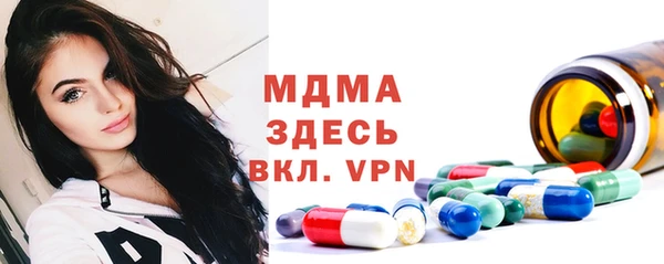 мдпв Каменка