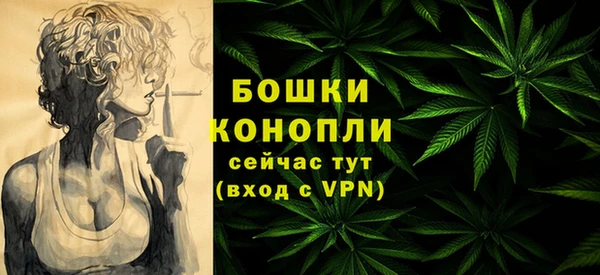 мдпв Каменка