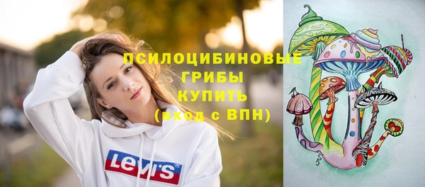 ALPHA PVP Касимов