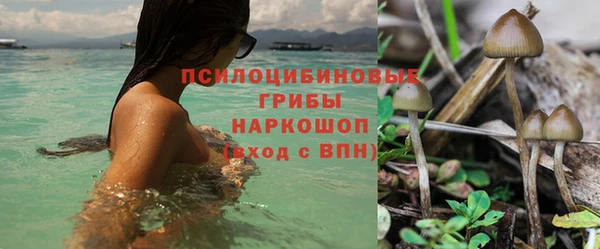 тгк Карпинск